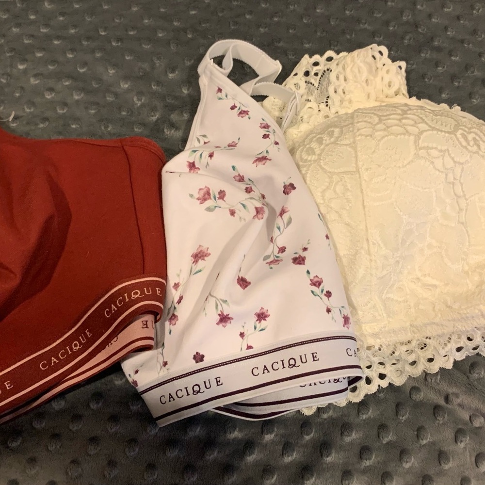 3 bras lot, 2 cacique 44dd,  1 Maurice’s halter 2x